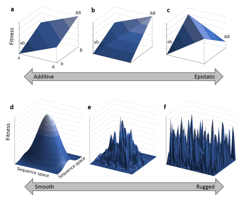Absolute Risk Impact by Biometrics