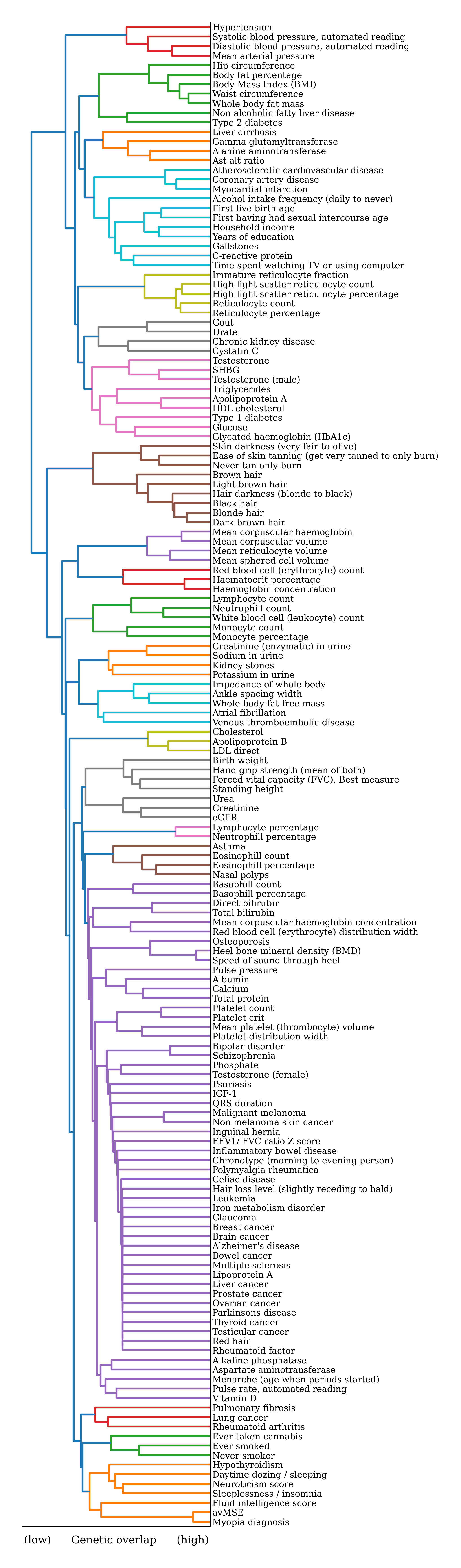 Genetic correlations dendrogram
